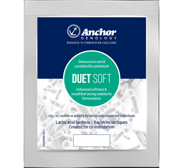 DUET-Soft (25g / 100g) - 25g-Packung